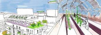 APPEL A PROJET INTERNATIONAL : construisons des serres sur les toits de nos bâtiments