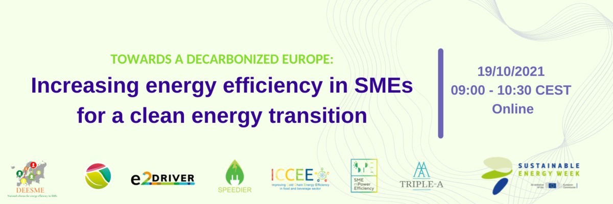 Towards a decarbonized Europe: Increasing energy efficiency in SMEs for a clean energy transition 