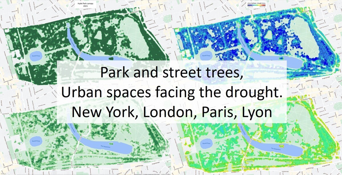 Trees and drought in urban areas: case studies of New York, London, Paris and Lyon