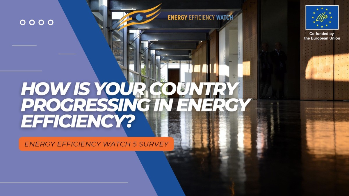How is your country progressing in energy efficiency?