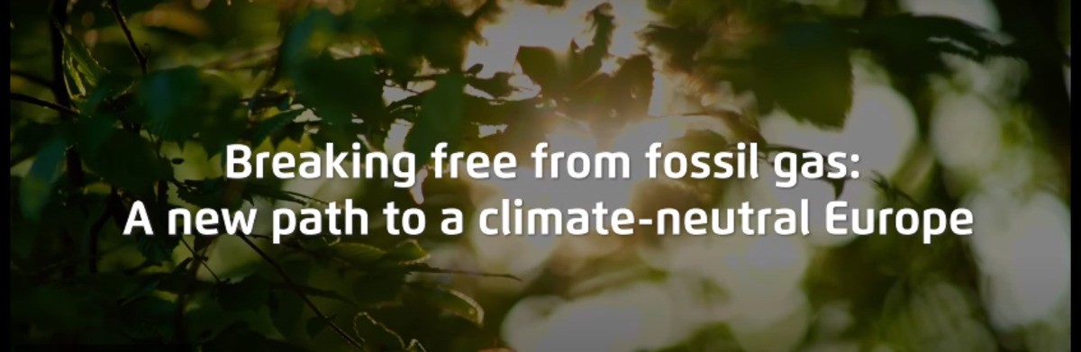 Breaking free from fossil gas: a new path to a climate-neutral Europe