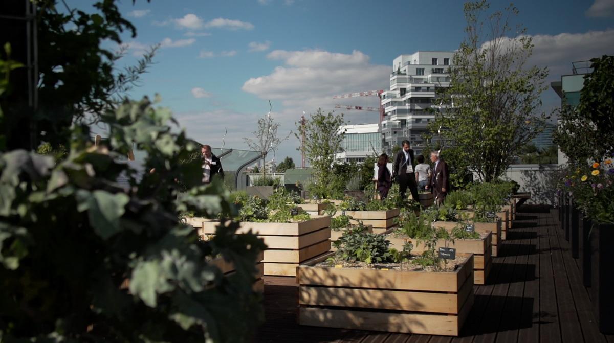 BNP Paribas Real Estate expérimente la ferme urbaine à son siège d’Issy-les-Moulineaux