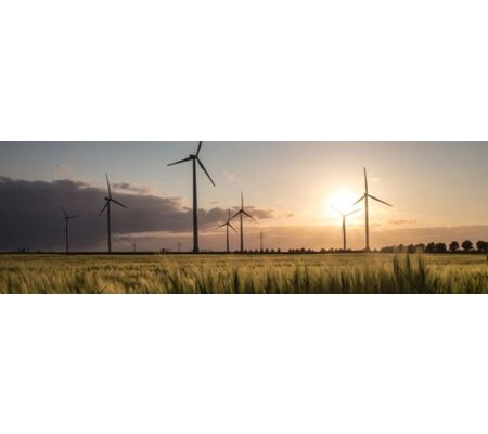Conférence en ligne sur le développement éolien terrestre et l’acceptabilité