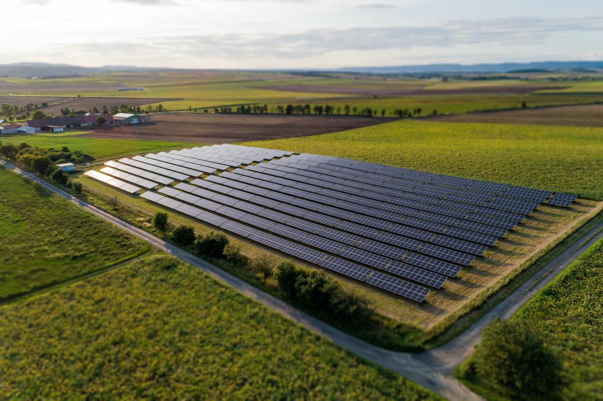 Photovoltaïque et terrains agricoles : un enjeu au cœur des objectifs énergétiques