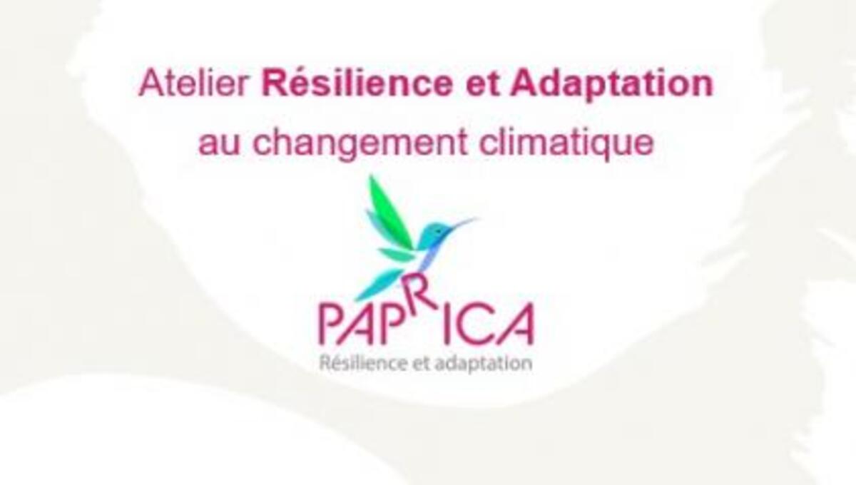 Atelier : résilience urbaine & adaptation aux changements climatiques