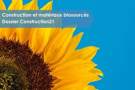  [Dossier Biosourcés #15] Diversité et Complexité des particules végétales : des atouts pour les matériaux biosourcés