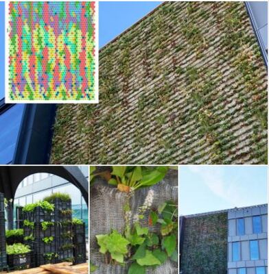 Pas seulement une tapisserie : La façade verte du nouvel immeuble de bureaux de Drees & Sommer à Stuttgart